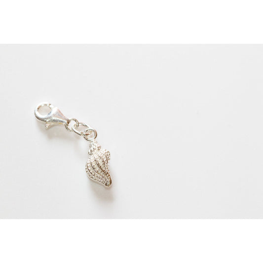 Clam Charonia Seashell