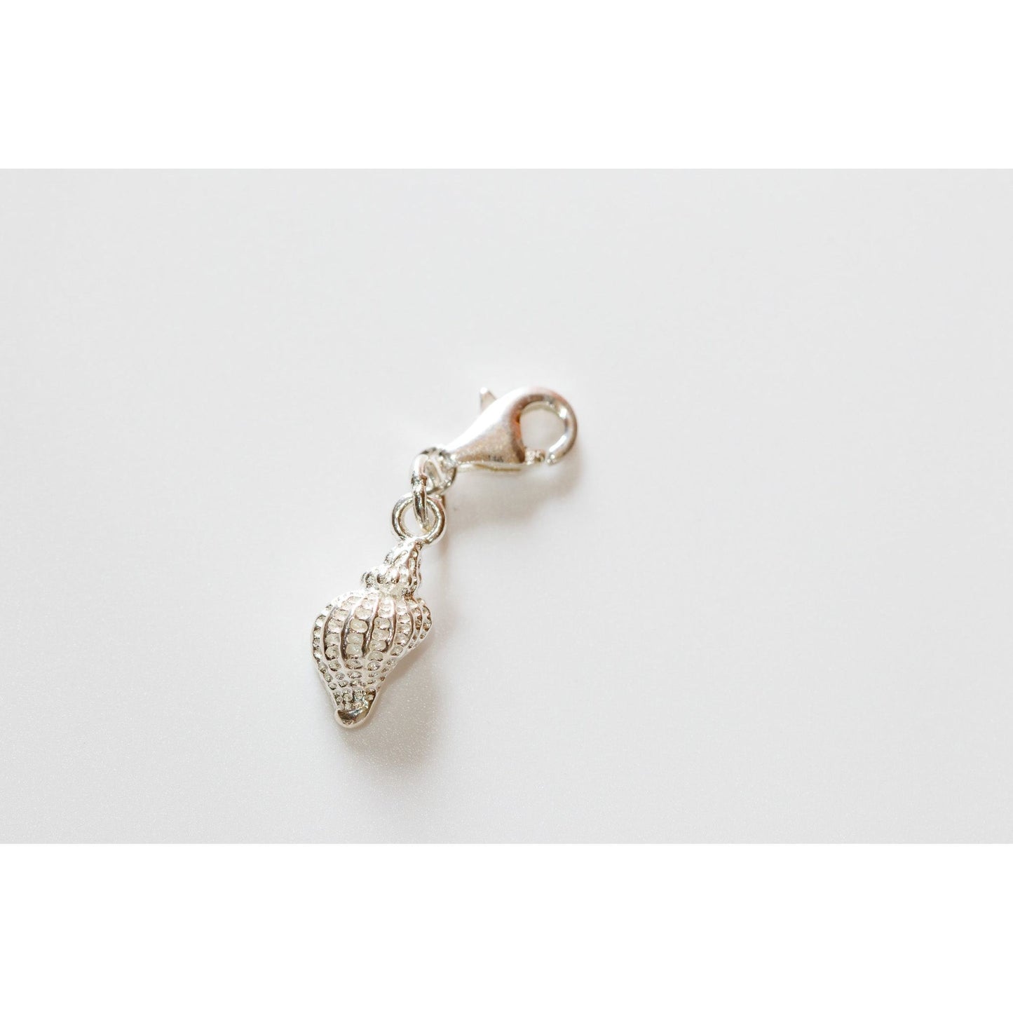 Clam Charonia Seashell