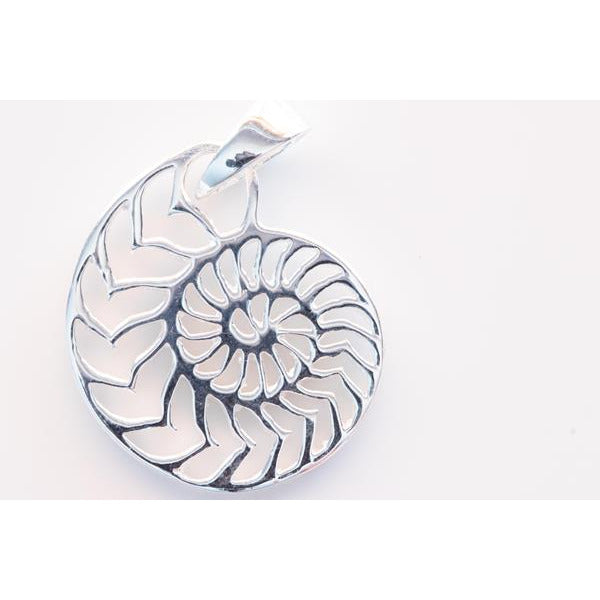 Nautilus